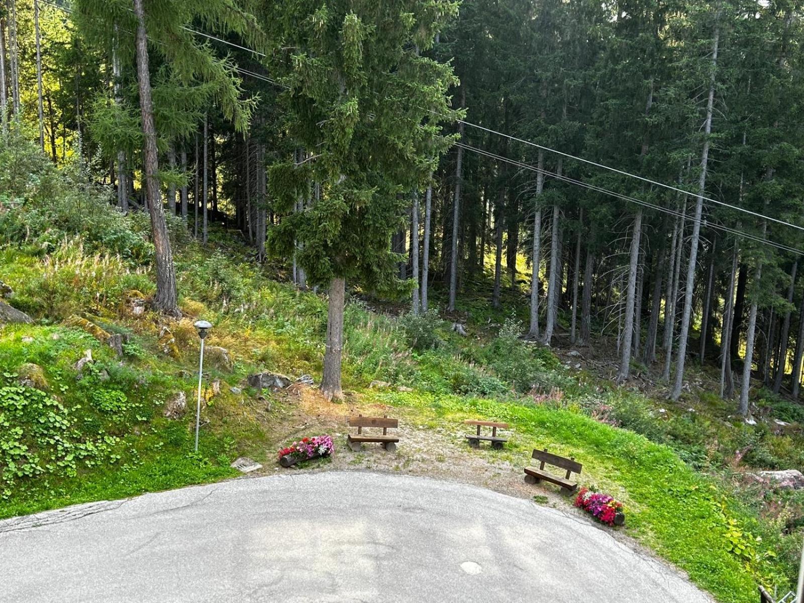 Sole Alto Marilleva Mezzana (Trentino Alto Adige) Exterior foto
