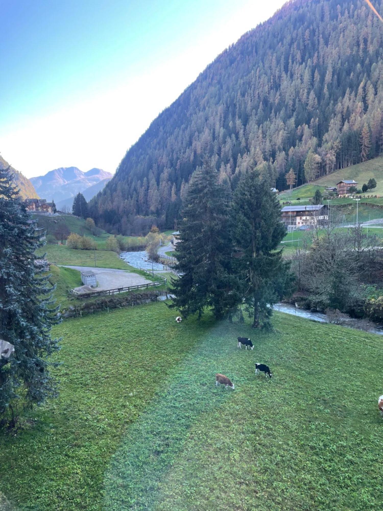 Sole Alto Marilleva Mezzana (Trentino Alto Adige) Exterior foto